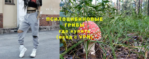 ГАЛЛЮЦИНОГЕННЫЕ ГРИБЫ Краснослободск