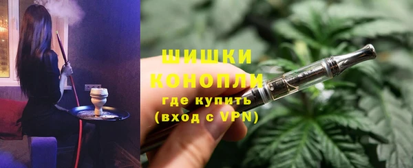 ГАЛЛЮЦИНОГЕННЫЕ ГРИБЫ Краснослободск