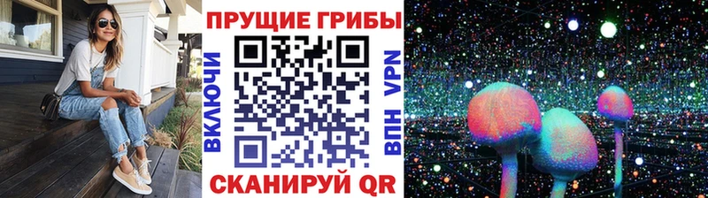 Купить где  Сим  Псилоцибиновые грибы Cubensis 